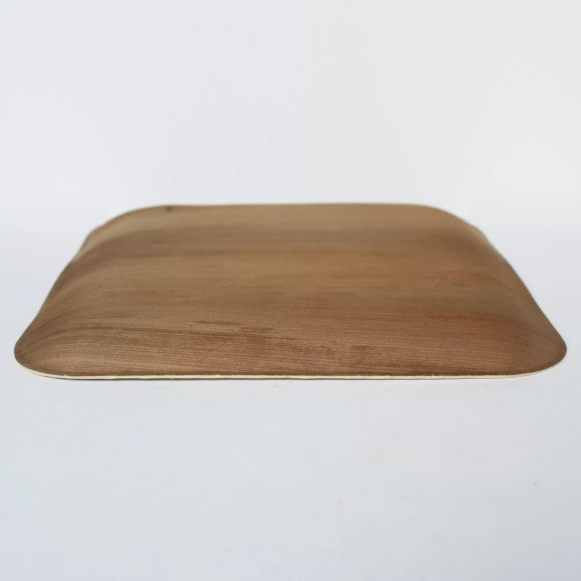 Areca Leaf Modern Square Design Plate – Set of 100