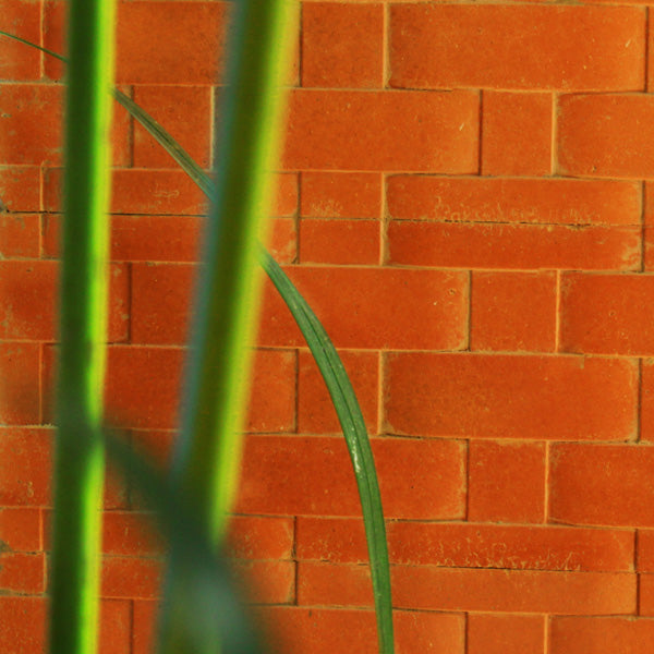 Terracotta Floor Tiles - Set Of 50