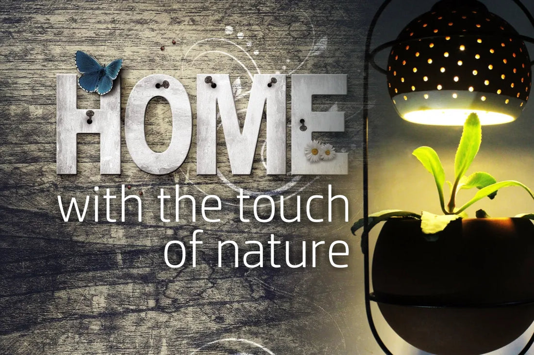 Welcome “Goodness of Nature” To Your Home!