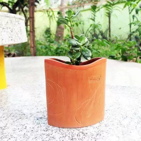 Aye Terracotta Planter