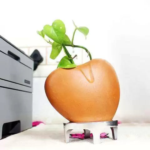 I Care Planter (Heart Shape Planter + Plant + Aluminium Stand )