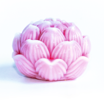 LOTUS (S) Mix Coloured Decorative Candles – Set of 12 with 2 Burning Plates