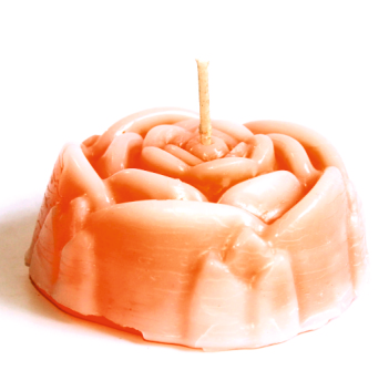 ROSE TOP (S) Mix Coloured Decorative Candles – Set of 12 with 2 Burning Plates