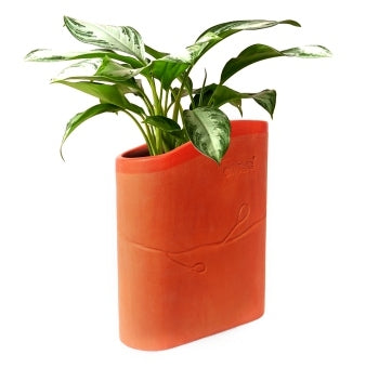 BUUK Desktop Planter / Tabletop Plant Pot