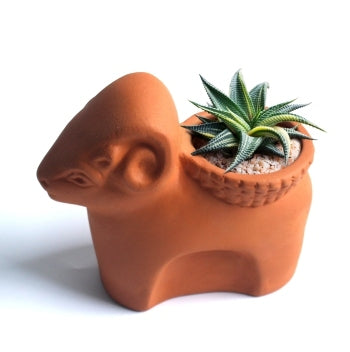 CAPRICORN Tabletop Succulent & Decor Planter (Set of 2)