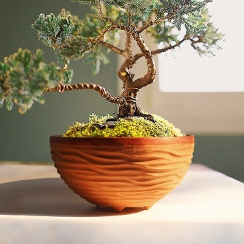 JUMBO BASKET Large Planter Pot