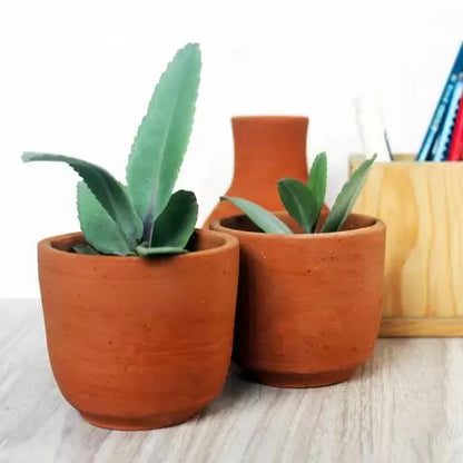 DIY Kit for Kids | Terracotta Art & Plantation Activity Set