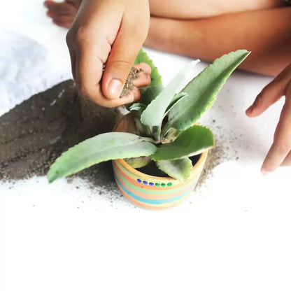 DIY Kit for Kids | Terracotta Art & Plantation Activity Set