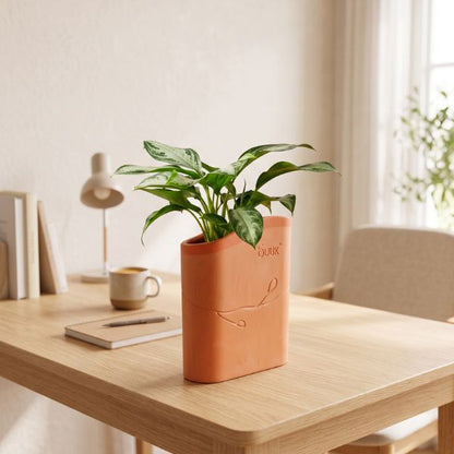 BUUK Desktop Planter / Tabletop Plant Pot