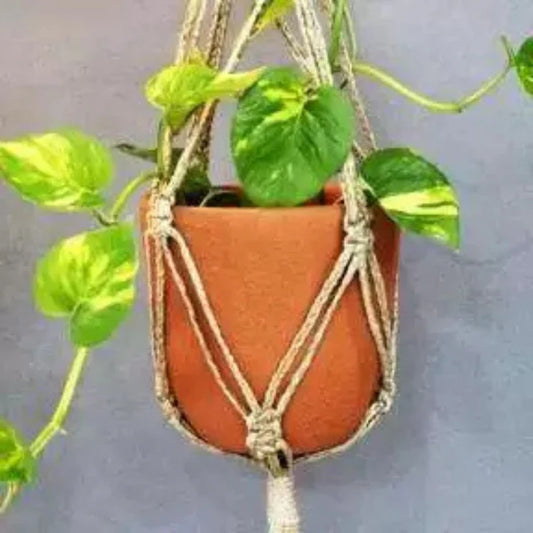 Design 3