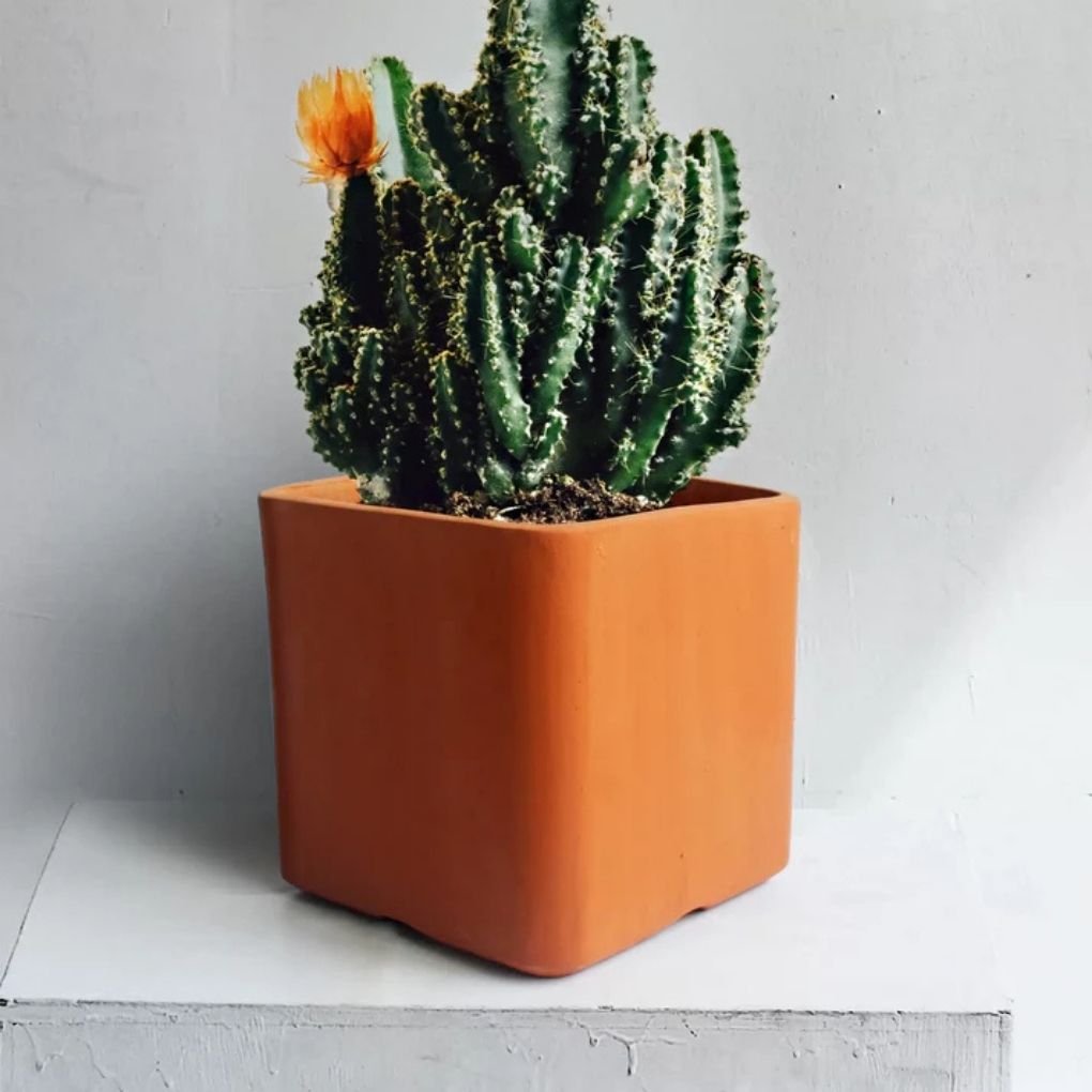 Cuboid Terracotta Planter: Set Of 3