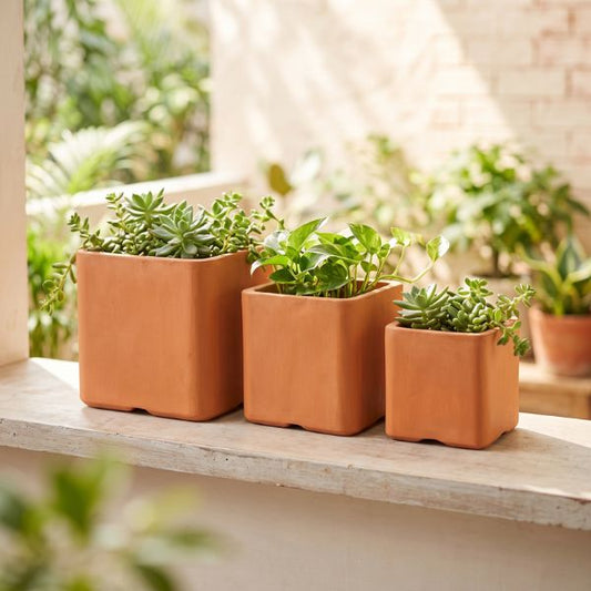 Cuboid Terracotta Planter: Set Of 3