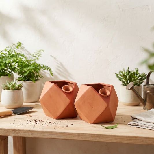 Design 1 - D’Mond Terracotta Planter Set of 2