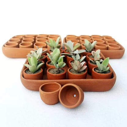 Square Plantation / Germination Kit