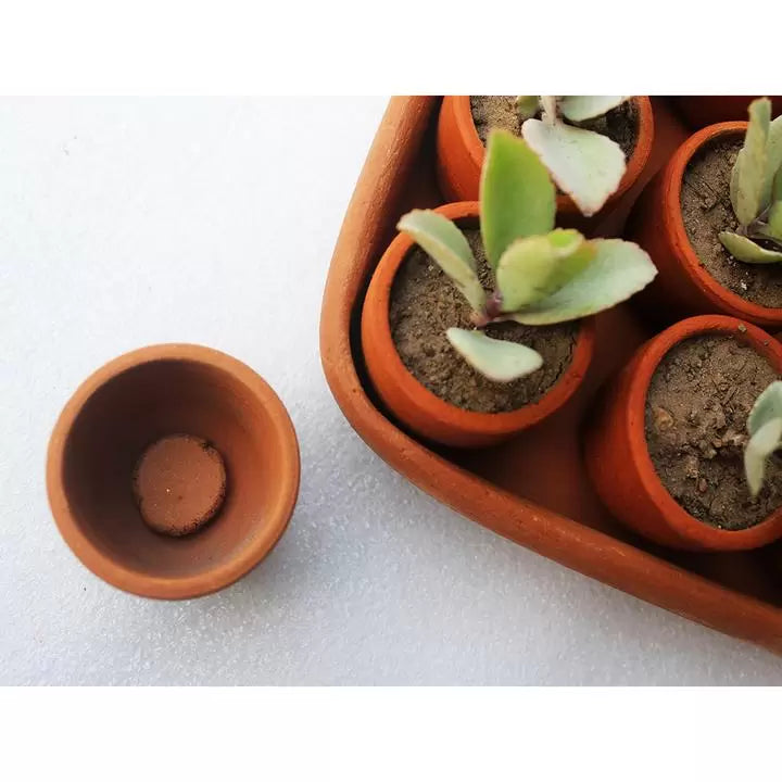 Square Plantation / Germination Kit