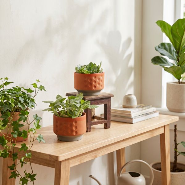HEXA DECO Planter Set Of 2