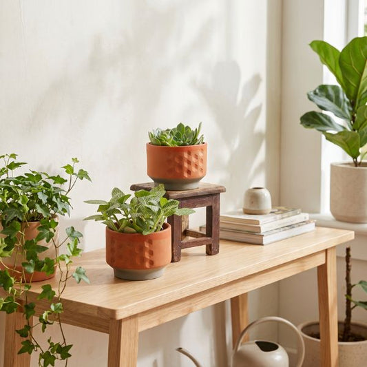 HEXA DECO Planter Set Of 2