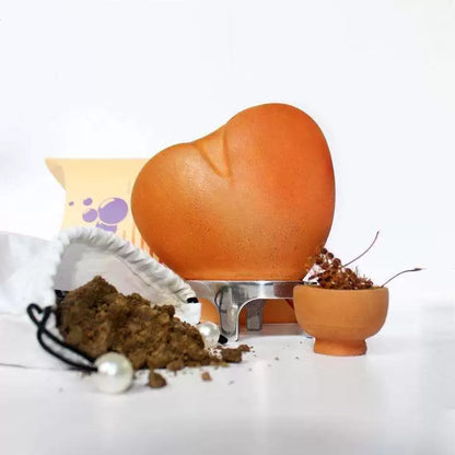 I Care Planter (Heart Shape Planter + Plant + Aluminium Stand )