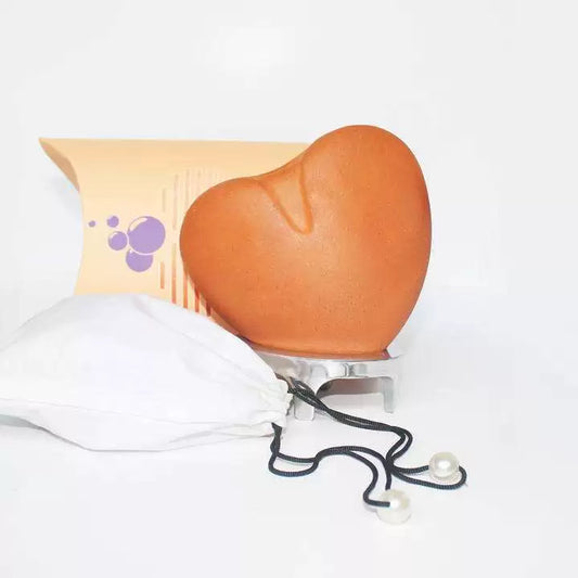 I Care Planter (Heart Shape Planter + Plant + Aluminium Stand )