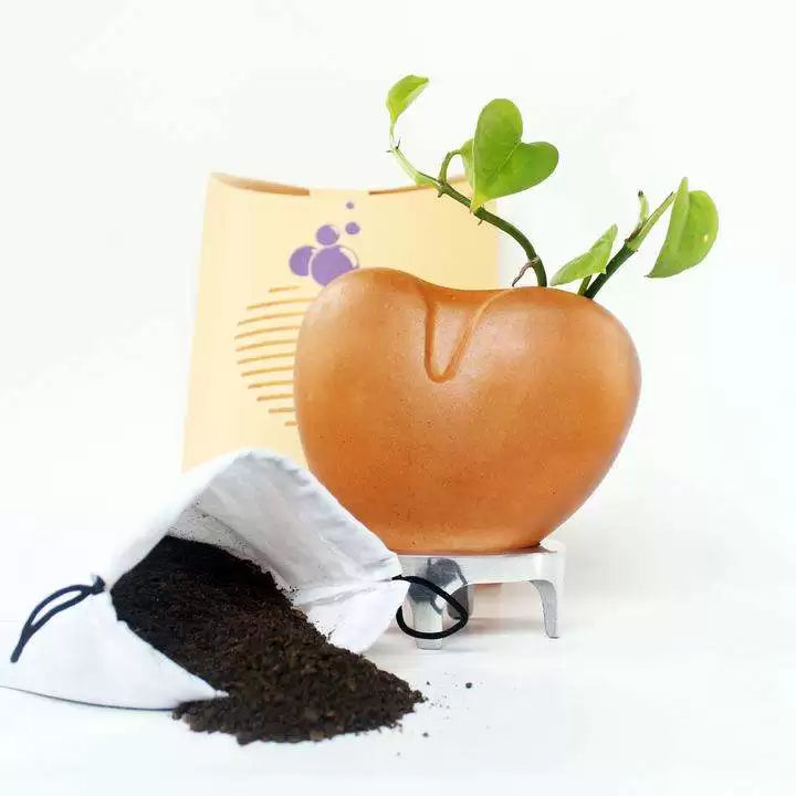 I Care Planter (Heart Shape Planter + Plant + Aluminium Stand )