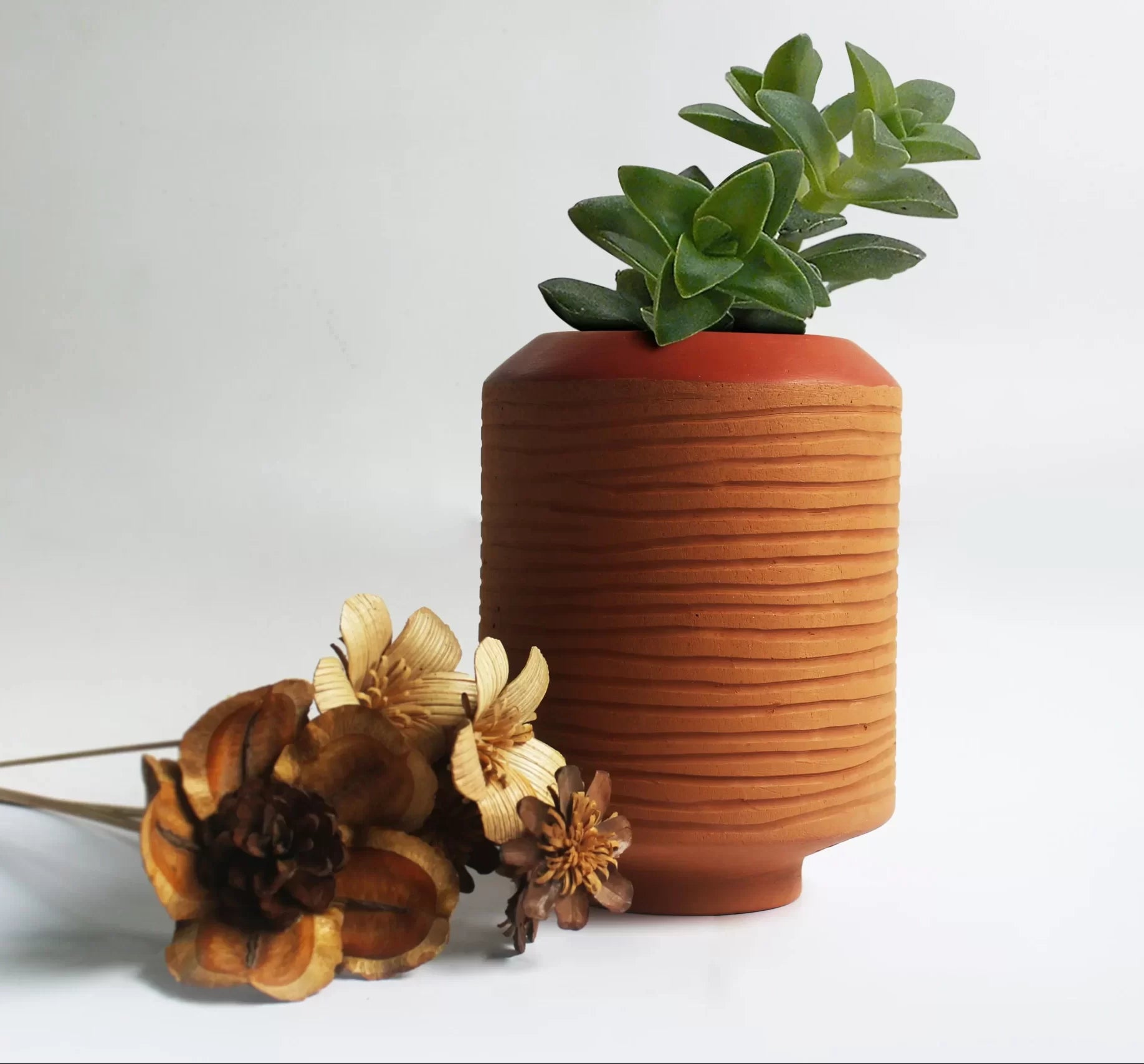 Barrel (XL) Terracotta Planter
