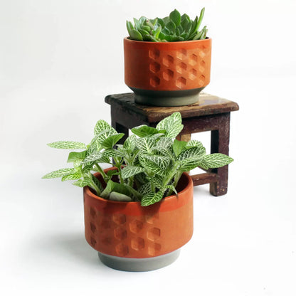 Hexa Deco Planter Set Of 2