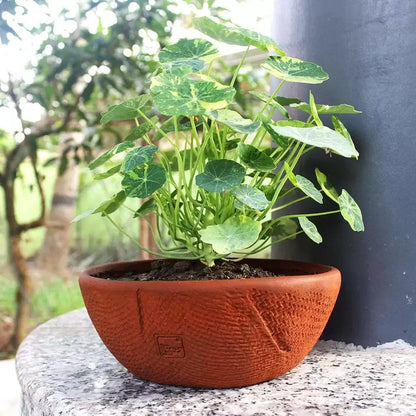 Jute Textured Terracotta