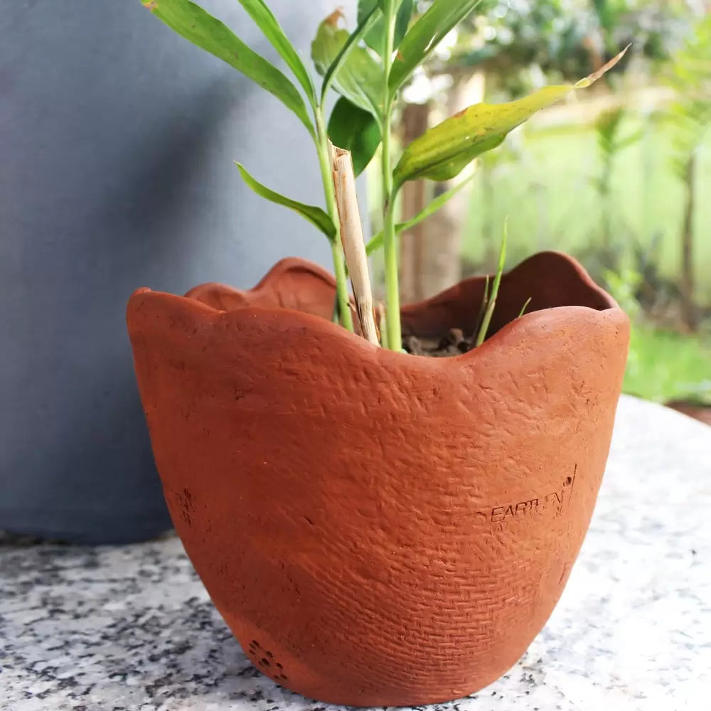 Wavy : Jute Textured Terracotta Planter  Set Of 2