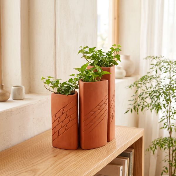 TRIGO Terracotta Planters : Set of 3