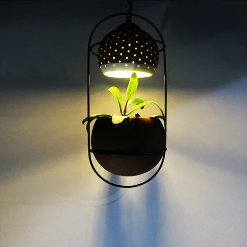 Craftlipi_Terracotta_Decorative_Garden_Light